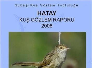 Hatay Kuş Gözlem Raporu:2008