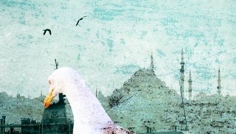 KOZYATAĞI KKM’ DE FOTOĞRAF SERGİSİ