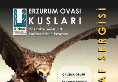 ERZURUM OVASI KUŞLARI