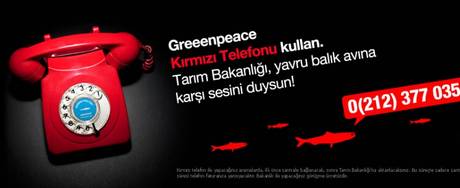 YAVRU BALIKLAR İÇİN KIRMIZI HAT