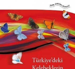 Örnek haber adı gelecek.