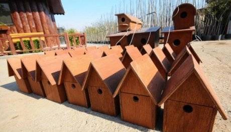 İZMİR DE KUŞLAR İÇİN ORGANİK TOPLU KONUT PROJESİ