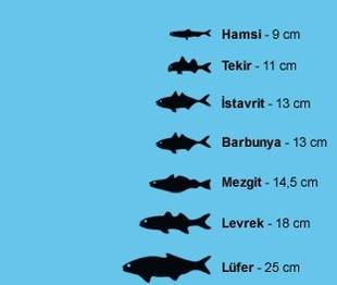 BALIKÇILIK SEZONU 15 NİSAN CUMA GÜNÜ KAPANIYOR