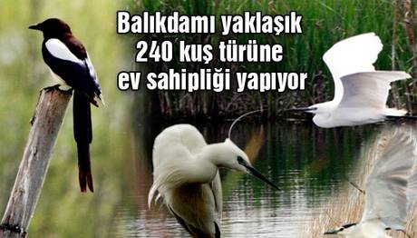 Örnek haber adı gelecek.
