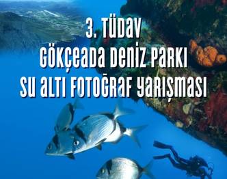 Örnek haber adı gelecek.