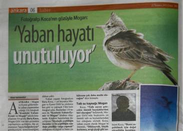 Örnek haber adı gelecek.