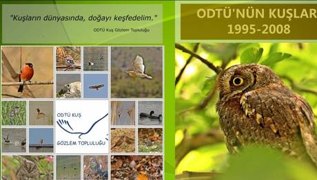 ODTÜ RAPORU, YAYINLAR BÖLÜMÜNDE