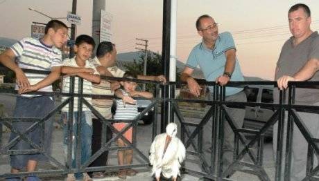 Yaralı Leyleğe Esnaf Sahip Çıktı