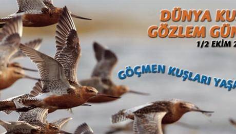 Dünya Kuş Gözlem Günü 2011