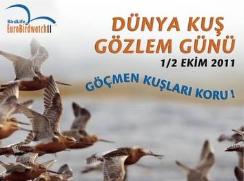 Örnek haber adı gelecek.
