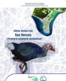 Örnek haber adı gelecek.