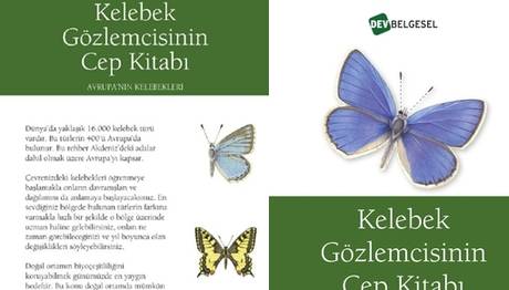 Yeni kelebek kitabı çıktı!