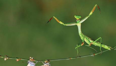 National Geographic Fotoğraf Yarışması Sonuçlandı