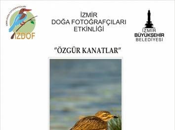 Örnek haber adı gelecek.