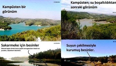 Örnek haber adı gelecek.