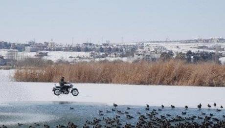 Mogan Su Kuşlarının Sığınağı Oldu