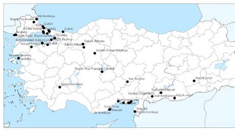 2012 Ocak - Önemli Kayıtlar
