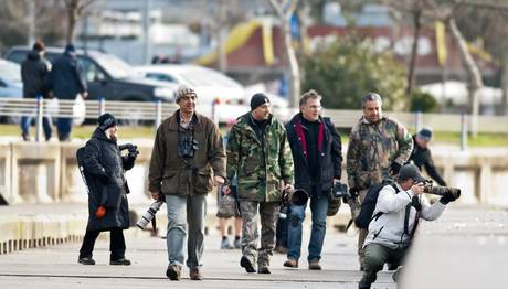 Bir Güzelin Peşinde Onlarca Kuş-paparazzi