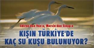 Örnek haber adı gelecek.