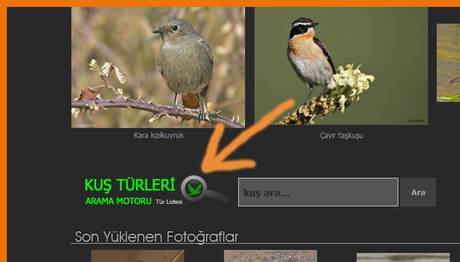 Örnek haber adı gelecek.