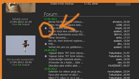 Örnek haber adı gelecek.