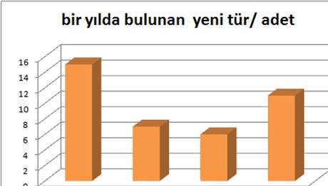 Örnek haber adı gelecek.
