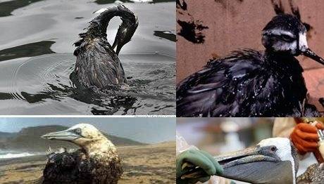 Örnek haber adı gelecek.
