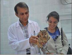 Örnek haber adı gelecek.