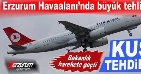 Örnek haber adı gelecek.