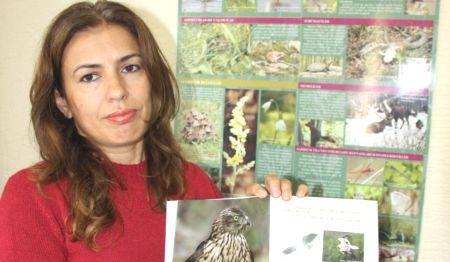Sinop 289 Kuş Türü Tespit Edildi