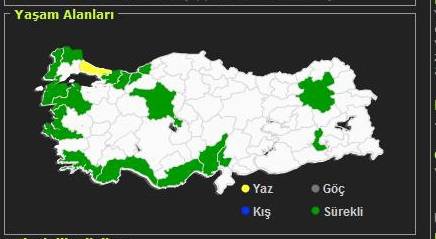 Örnek haber adı gelecek.