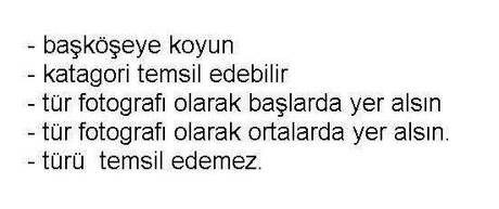 ANKET SONUÇLARI