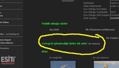 Hangi Türleri Belgelediniz