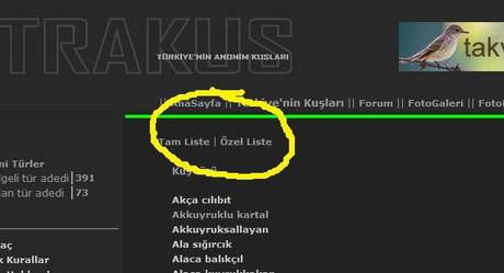 Örnek haber adı gelecek.