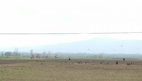 Örnek haber adı gelecek.