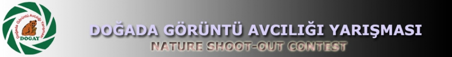 dask-dogada-goruntu-avciligi-yarismasi