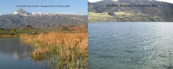 eroglundan-aras-nehri-kus-cenneti-kampanyasina-cevap