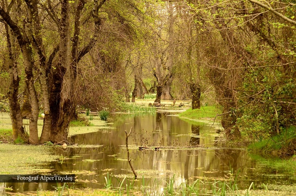 karacabey-longozu-diye-bi-yer-var