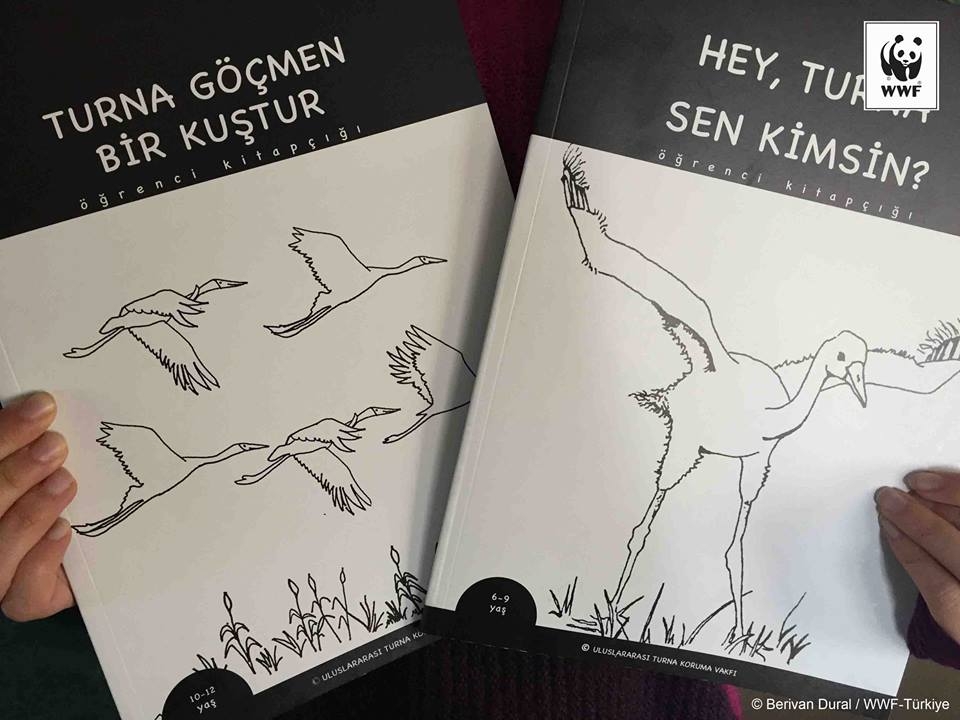 turnalar-hep-ucsun!