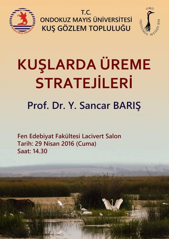 kuslarin-ureme-stratejileri