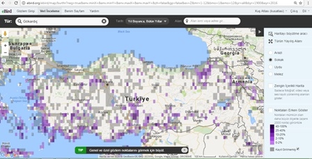ebirdde-bir-turun-dagilim-haritasi-nasil-bulunur