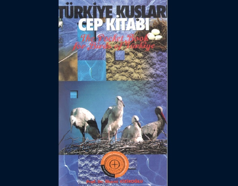 turkiyede-yasayan-kac-kus-adi-sayabilirsiniz