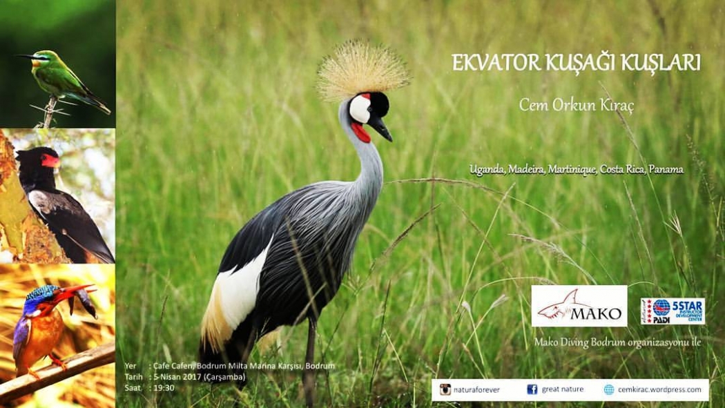 ekvator-kusagi-kuslari-sergisi