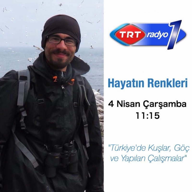 turkiyede-kuslar-goc-ve-yapilan-calismalar-