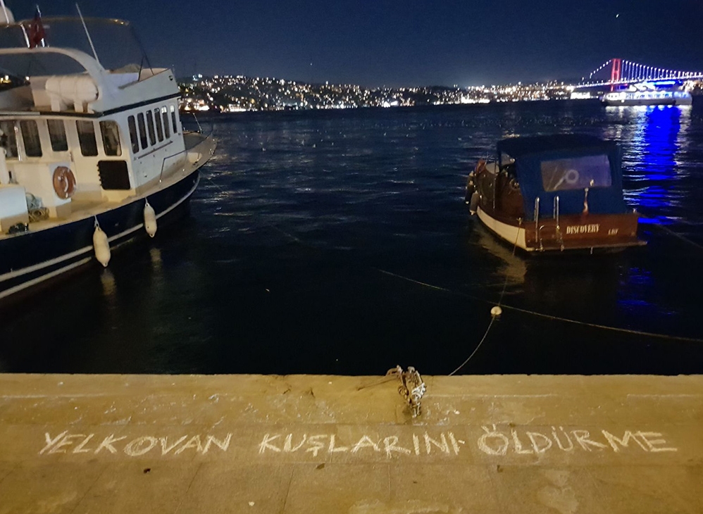 istanbulda-yelkovan-kusu-katliami