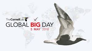 kuresel-buyuk-gun-5-mayis-2018-