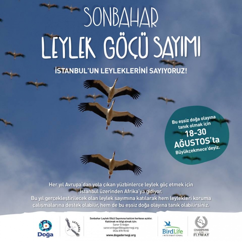 istanbulun-leyleklerini-sayiyoruz!