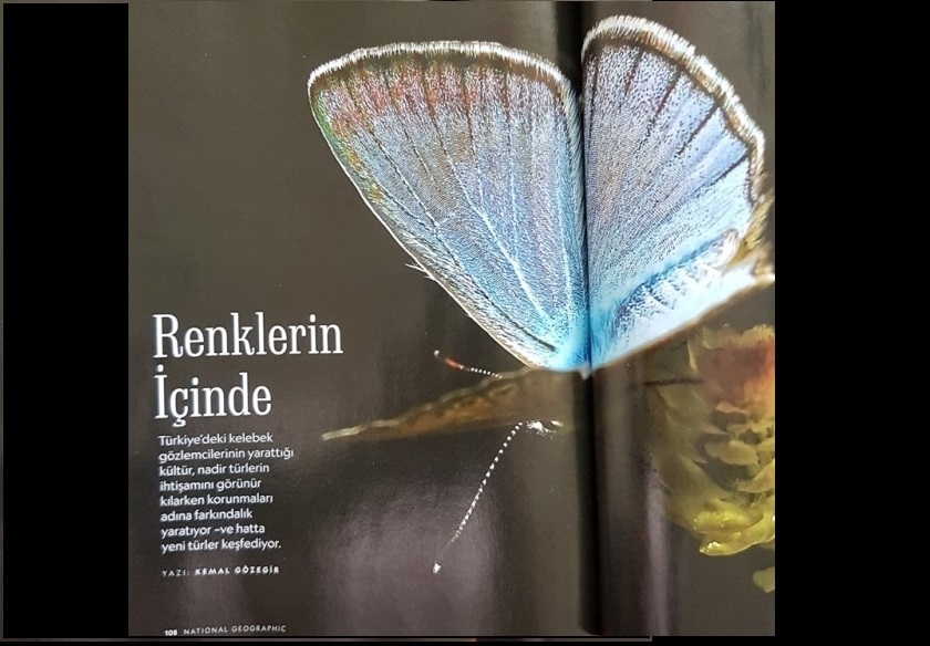 trakel-national-geographic-de