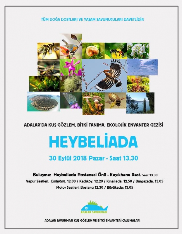 heybeliadada-yuruyus-ve-gozlem