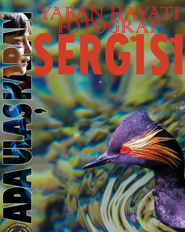 ada-ulas-tan-sergi